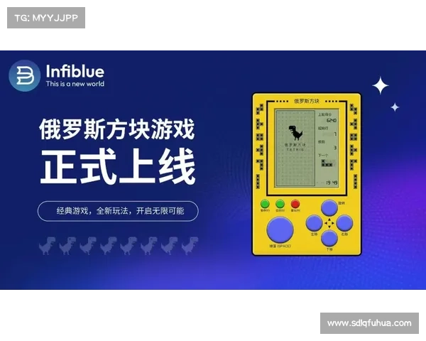 《全面解析俄罗斯方块豪华版挑战模式的玩法技巧与策略指南》 《全面解析俄罗斯方块豪华版挑战模式的玩法技巧与策略指南》