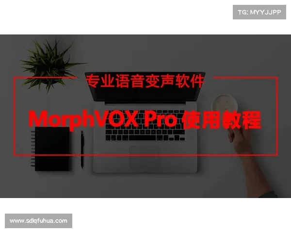 MorphVox Pro功能解析与评测 MorphVox Pro功能解析与评测
