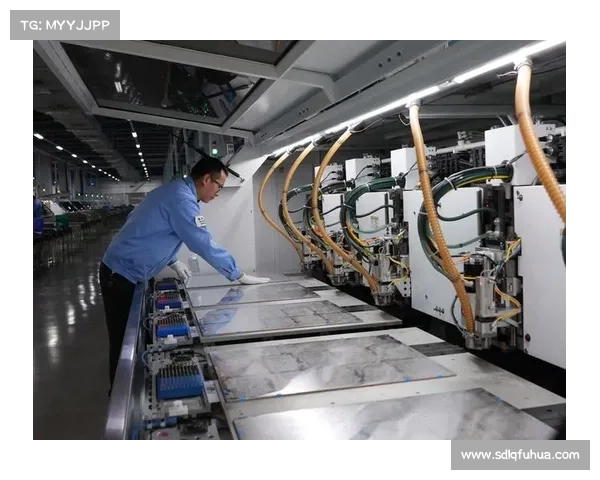 DK宏技术应用研究中的五大优化策略及其实施效果分析 DK宏技术应用研究中的五大优化策略及其实施效果分析