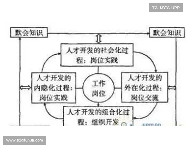 深入剖析DK宏技术在提升系统性能中的优化策略与应用实践 深入剖析DK宏技术在提升系统性能中的优化策略与应用实践