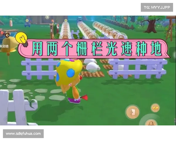 科学充电方法助力摩尔庄园机器保持高效稳定运行 科学充电方法助力摩尔庄园机器保持高效稳定运行