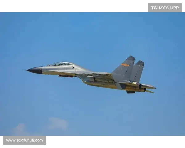 提升战斗技巧的有效方法有哪些从基础训练到实战经验全方位解析 提升战斗技巧的有效方法有哪些从基础训练到实战经验全方位解析