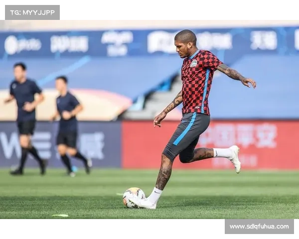 建业足球俱乐部的组织性质与发展路径分析五大关键要素