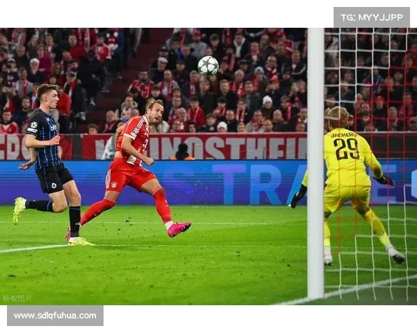 德甲球队挑战拜仁的五大策略揭秘如何撼动王者地位