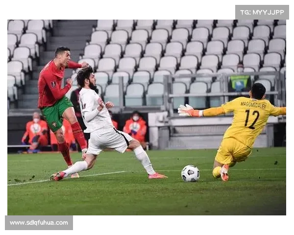 全面盘点葡萄牙各大知名足球俱乐部球队完整名单深度解析全景阅读