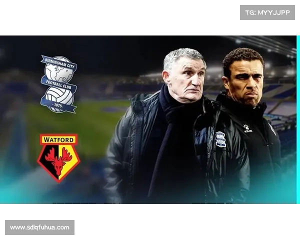 揭开英冠赛场背后的隐秘真相探索荣耀与竞争的真实故事