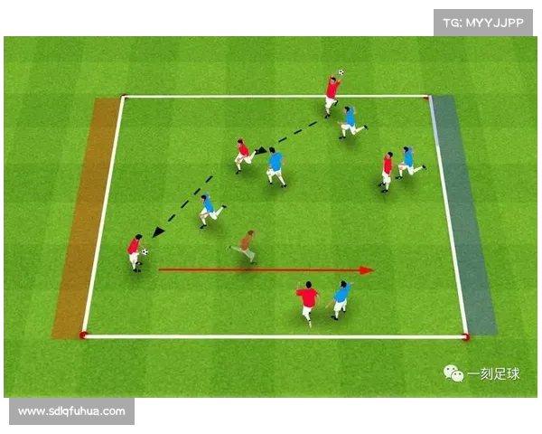 如何通过科学训练与心理辅导帮助年轻球员全面成长与提升竞技水平