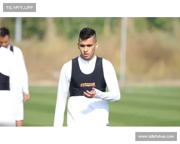 学习莱昂纳多的技巧与中超最佳球员之路的成功秘诀揭秘